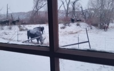 Merry Christmas From Terry – 2018